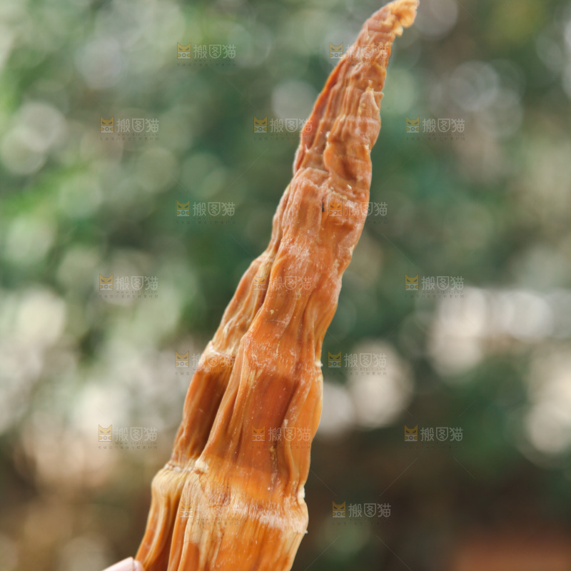 龙笋干