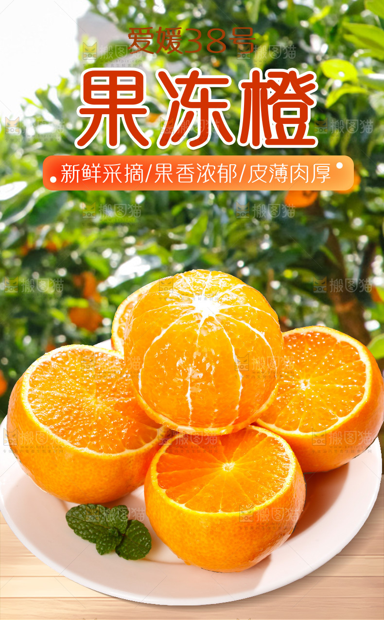 爱媛果冻橙详情页