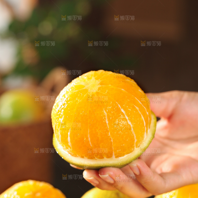 云南冰糖橙