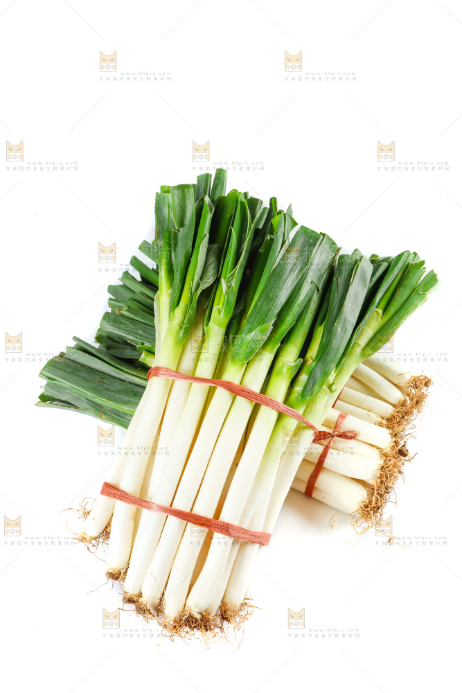 大葱