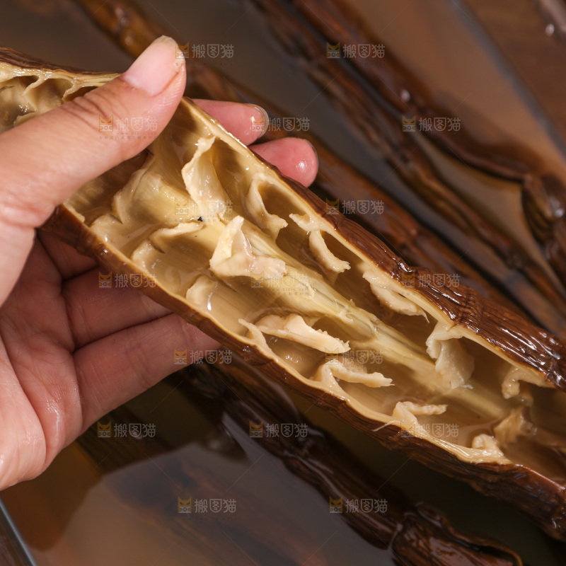 牛尾笋