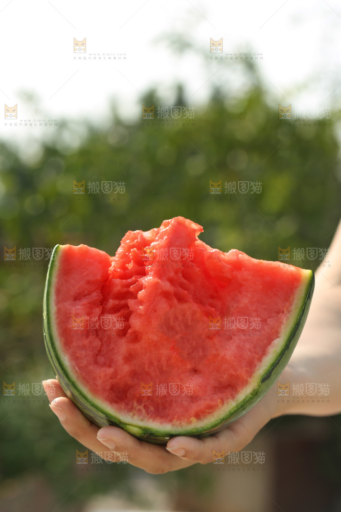 手扒皮西瓜