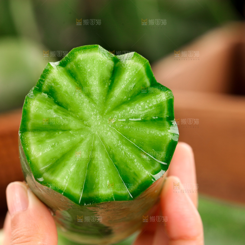 水果萝卜