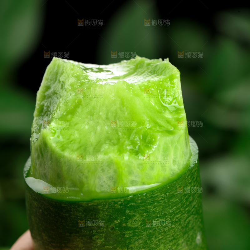 水果萝卜