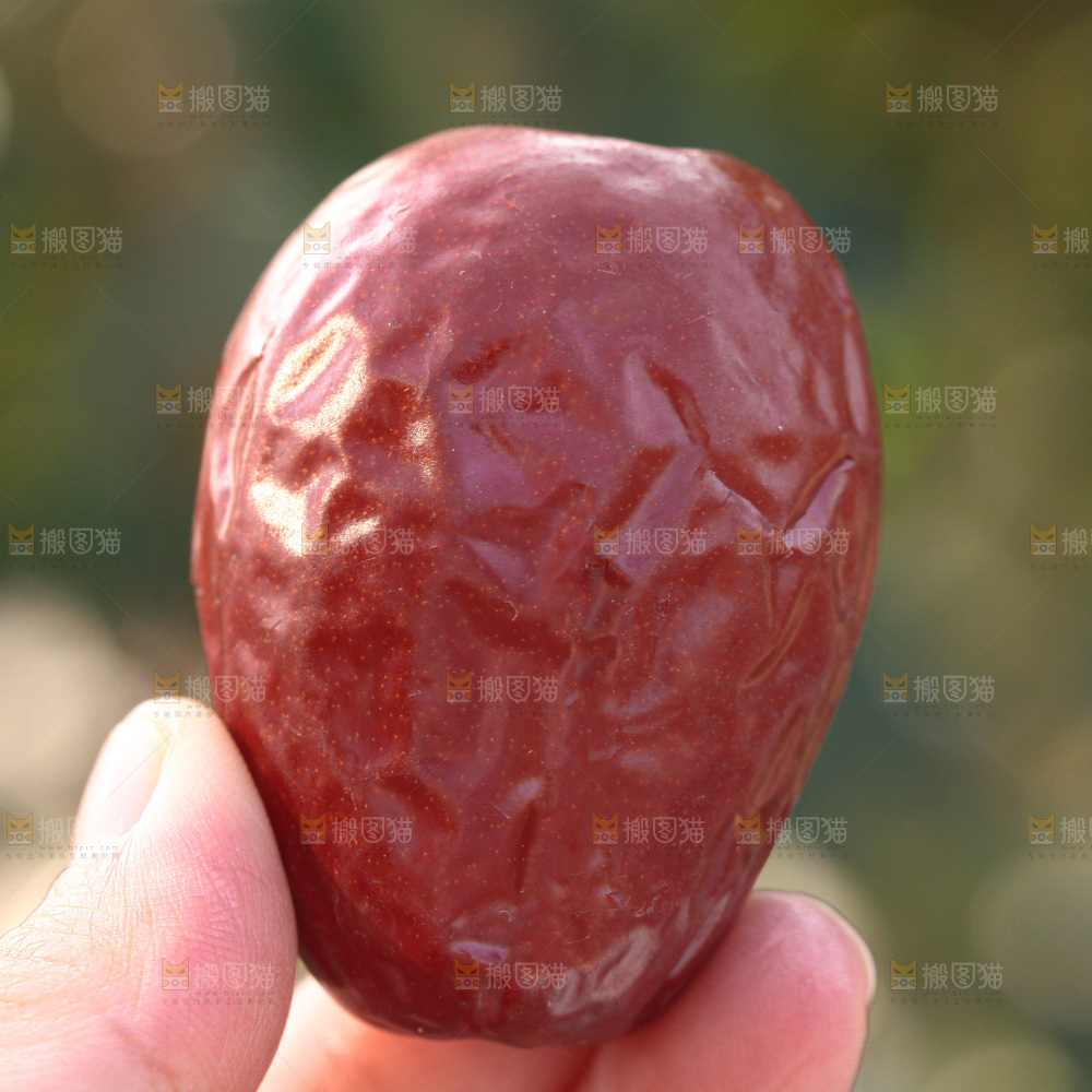 和田大枣