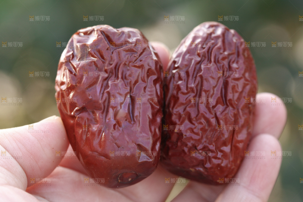 和田大枣