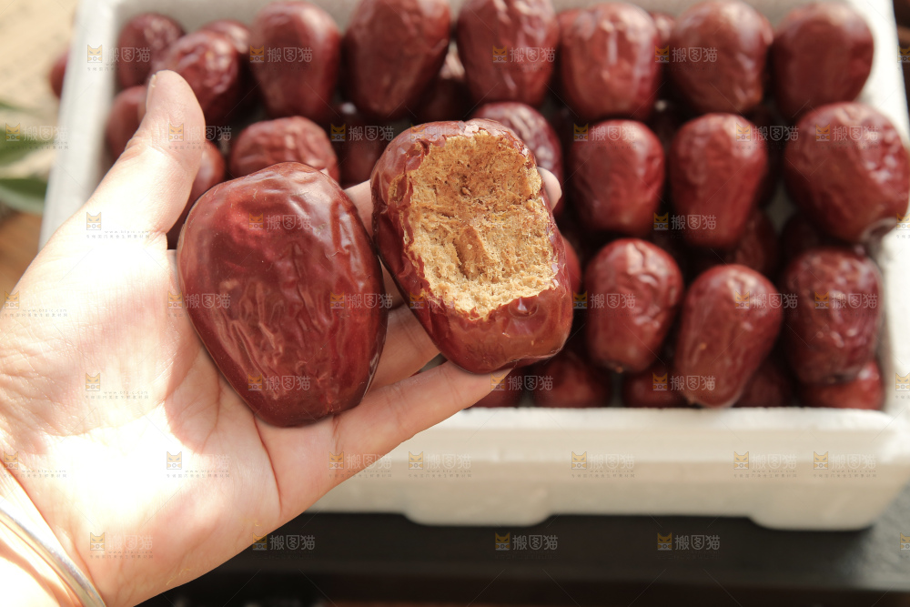 和田大枣