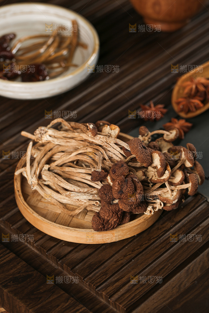 茶树菇