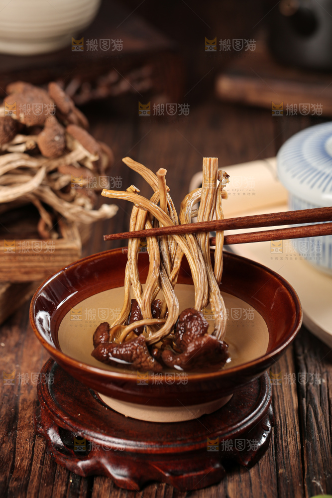 茶树菇