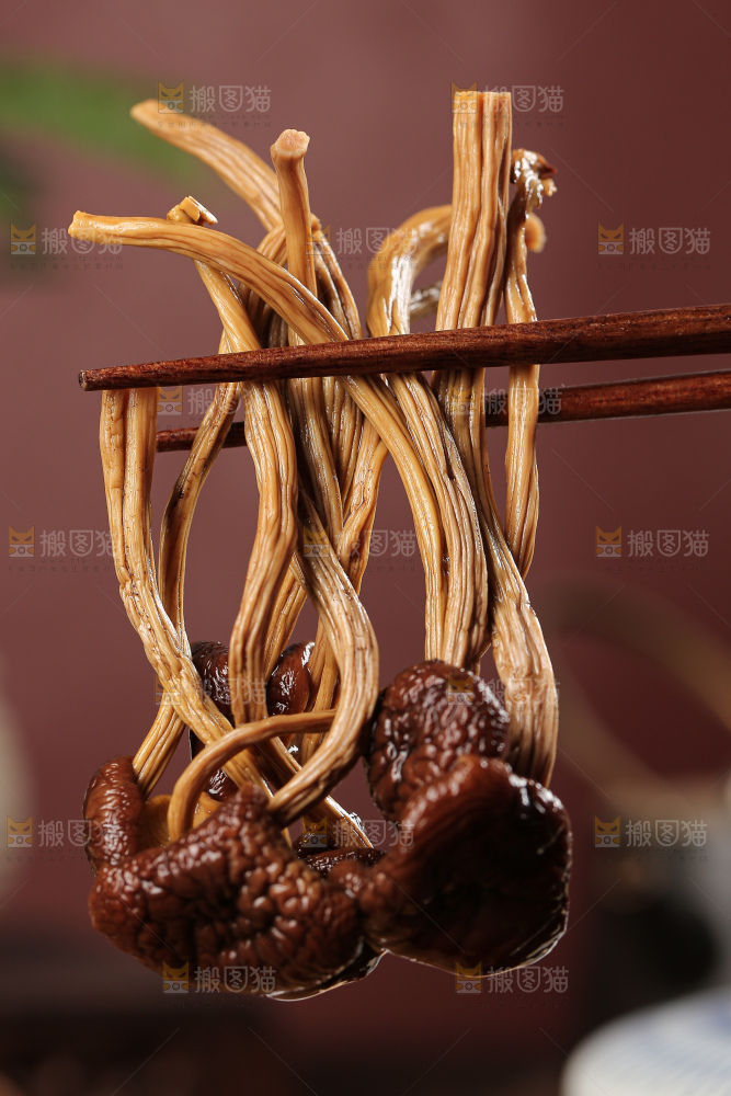 茶树菇