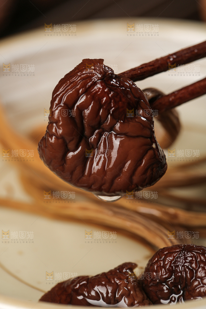 茶树菇
