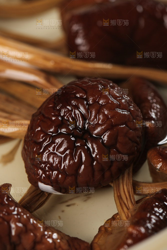 茶树菇