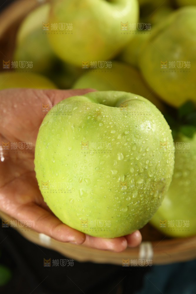 瑞雪苹果