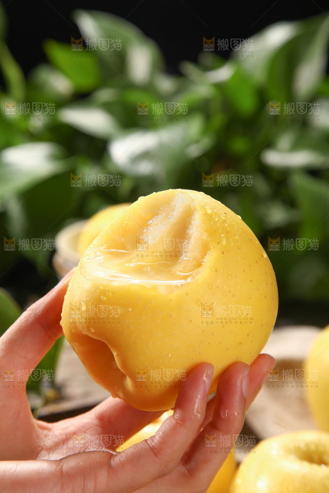 维纳斯苹果