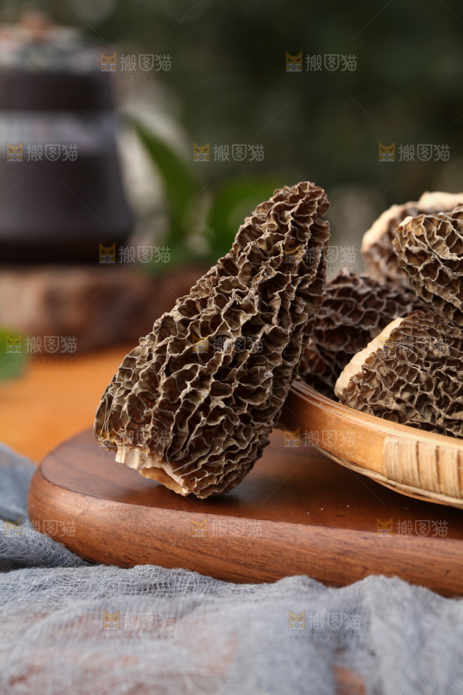 羊肚菌