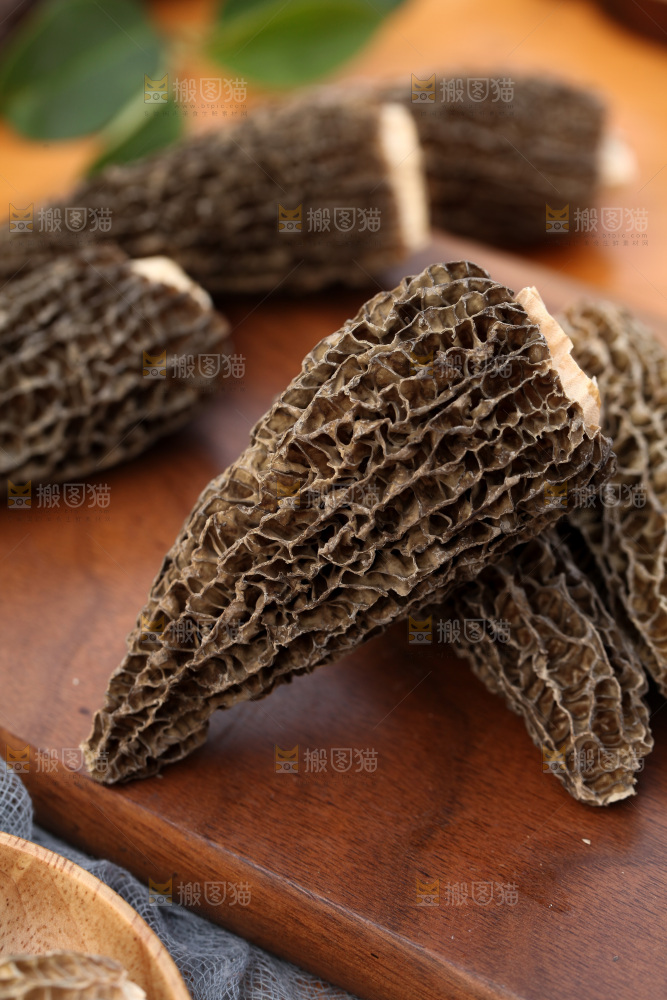 羊肚菌