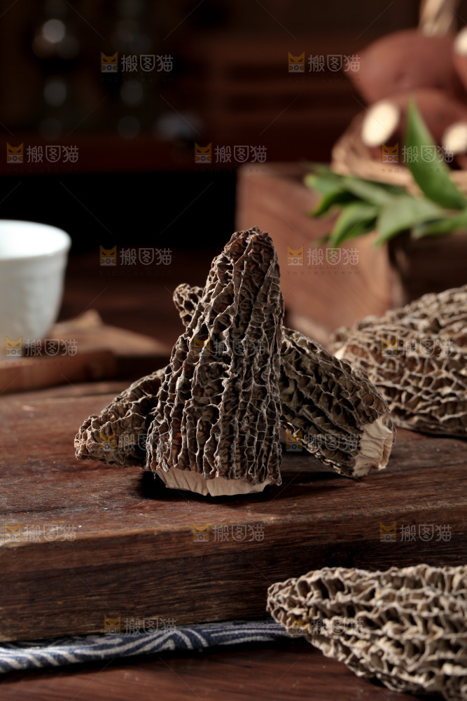 羊肚菌