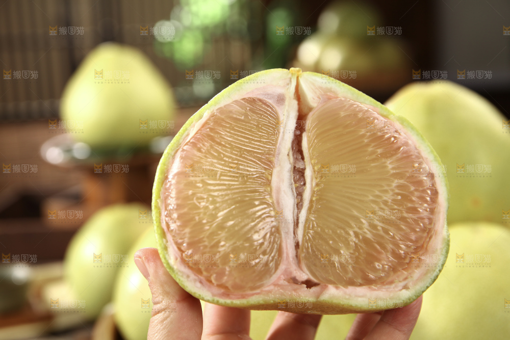 文旦柚