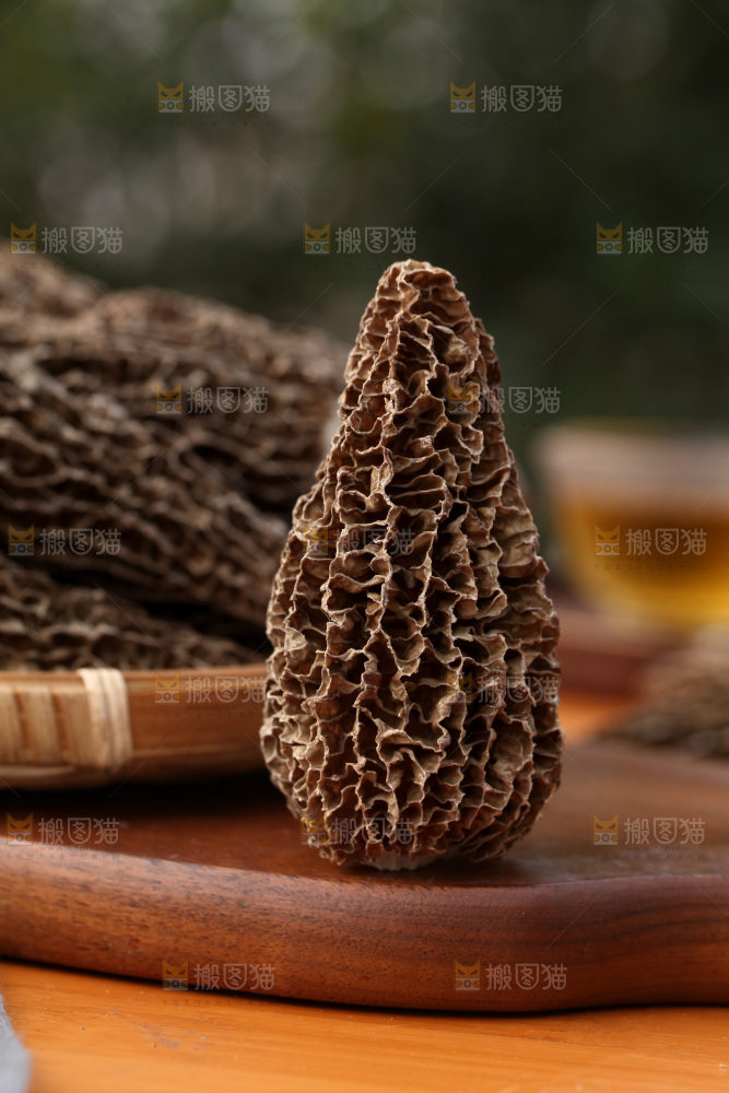 羊肚菌