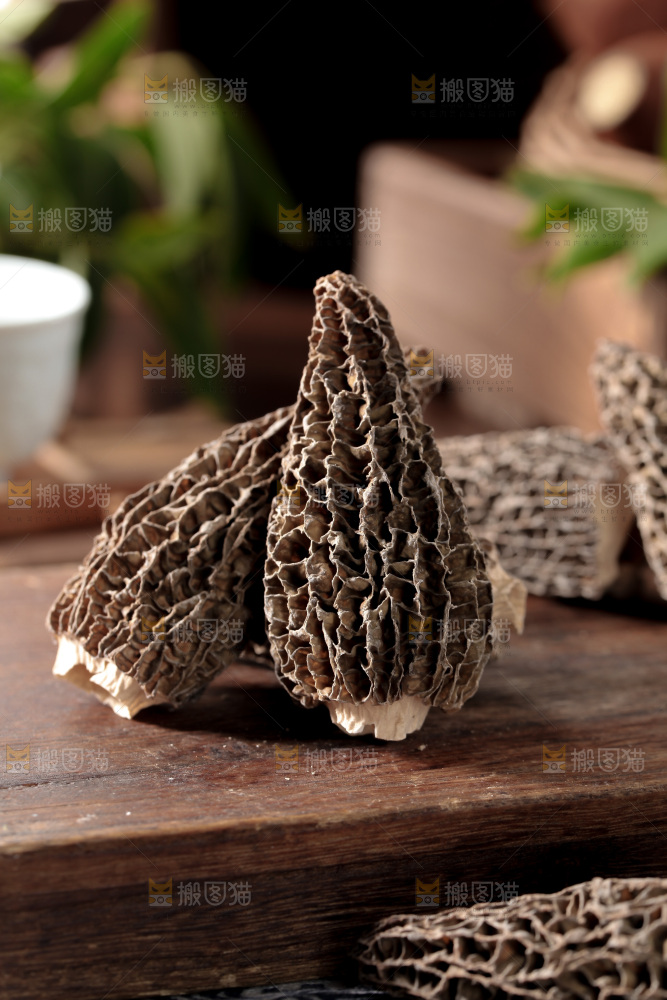 羊肚菌