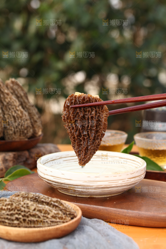 羊肚菌