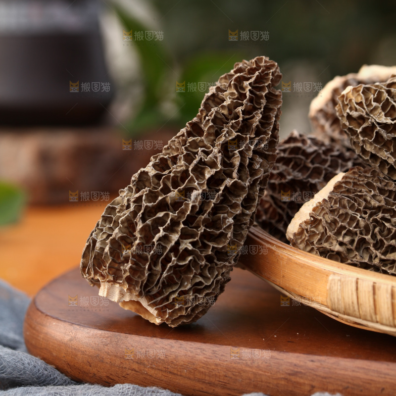 羊肚菌