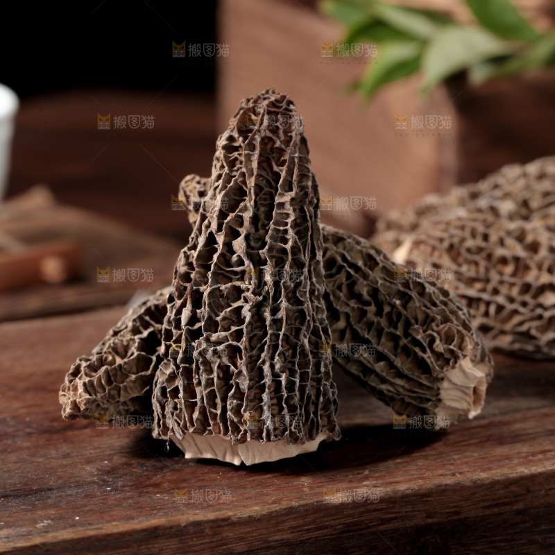 羊肚菌