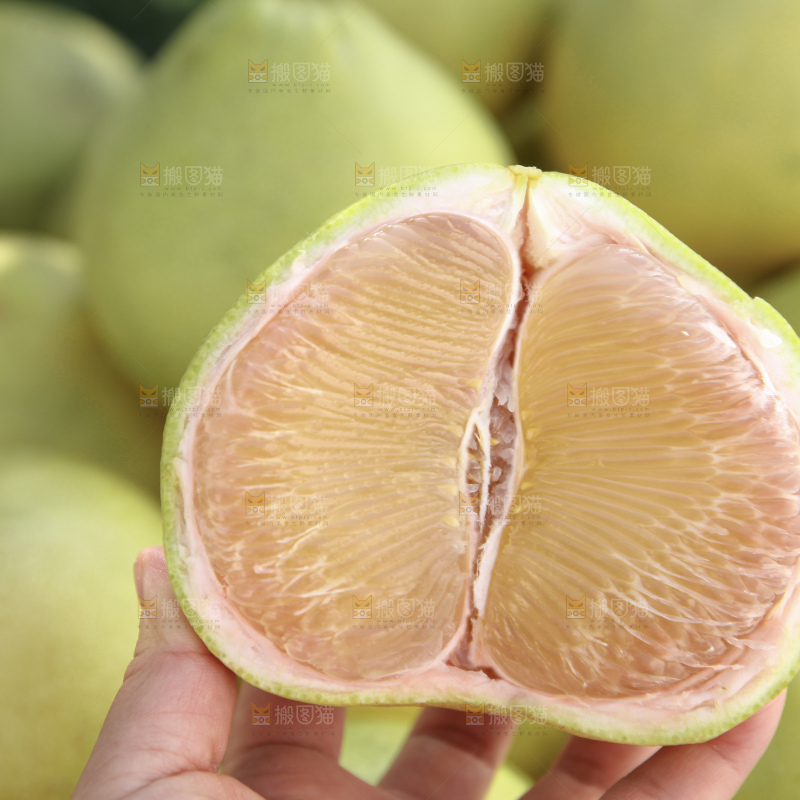 文旦柚