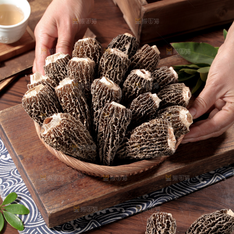 羊肚菌