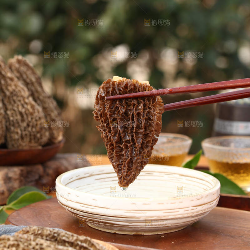 羊肚菌