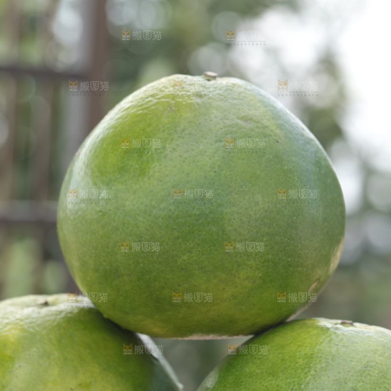 翡翠葡萄柚
