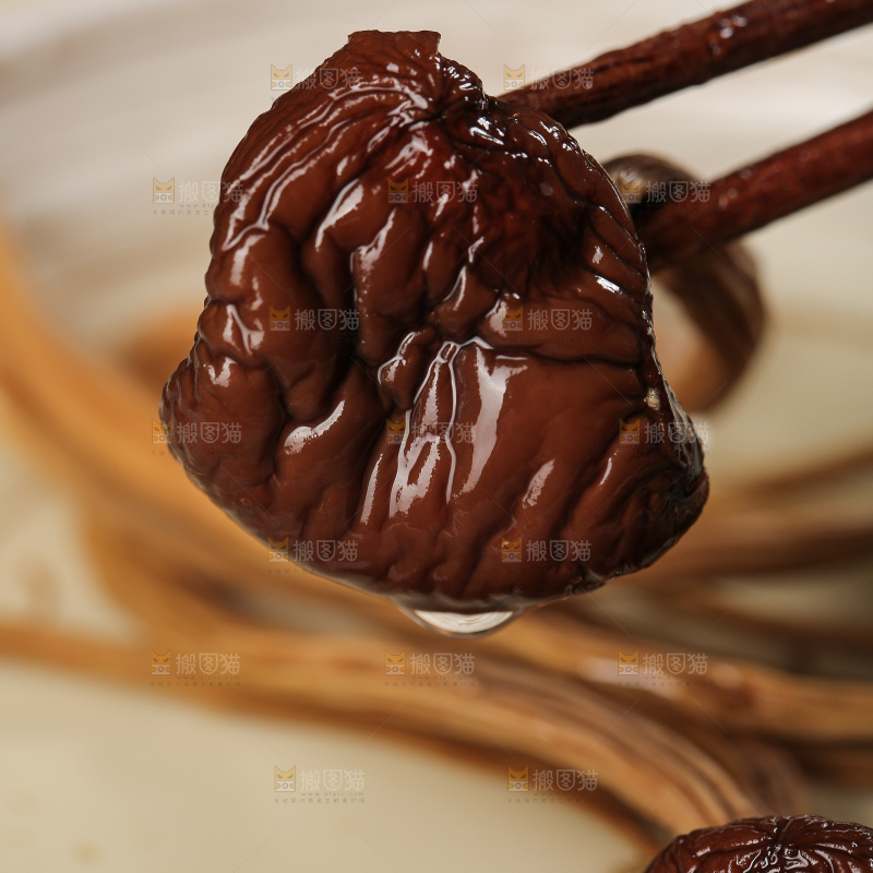 茶树菇