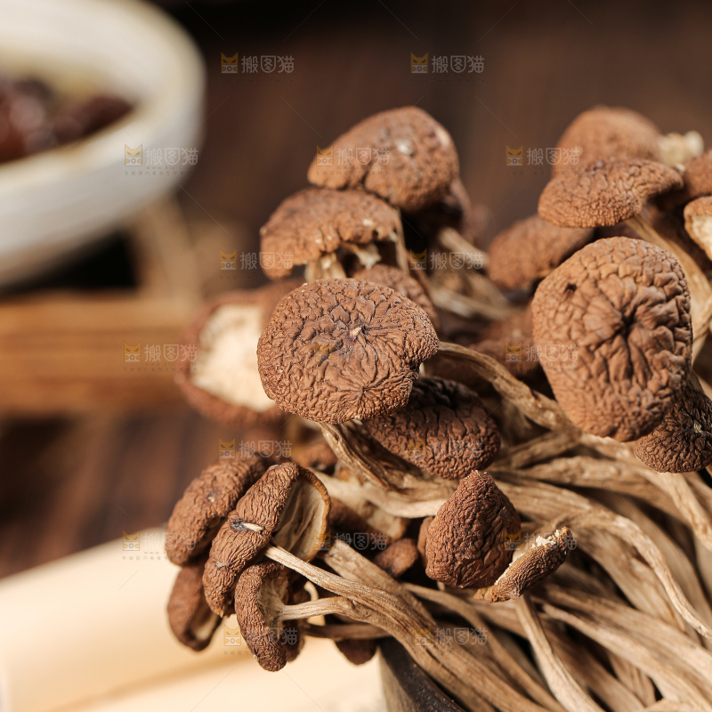 茶树菇