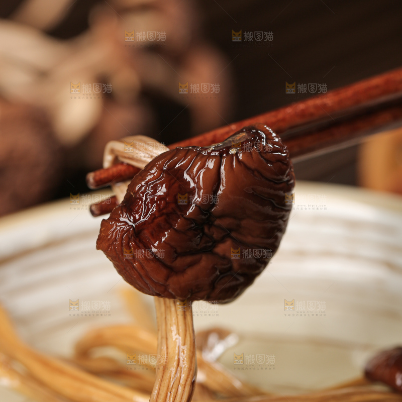 茶树菇
