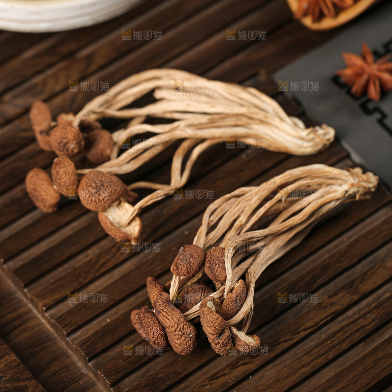 茶树菇
