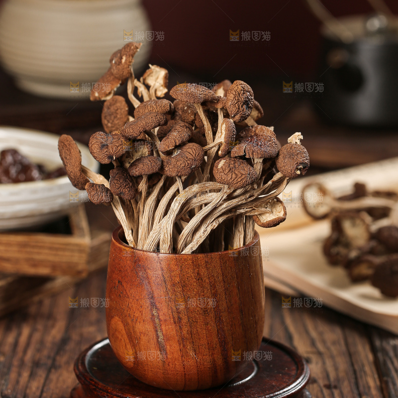 茶树菇