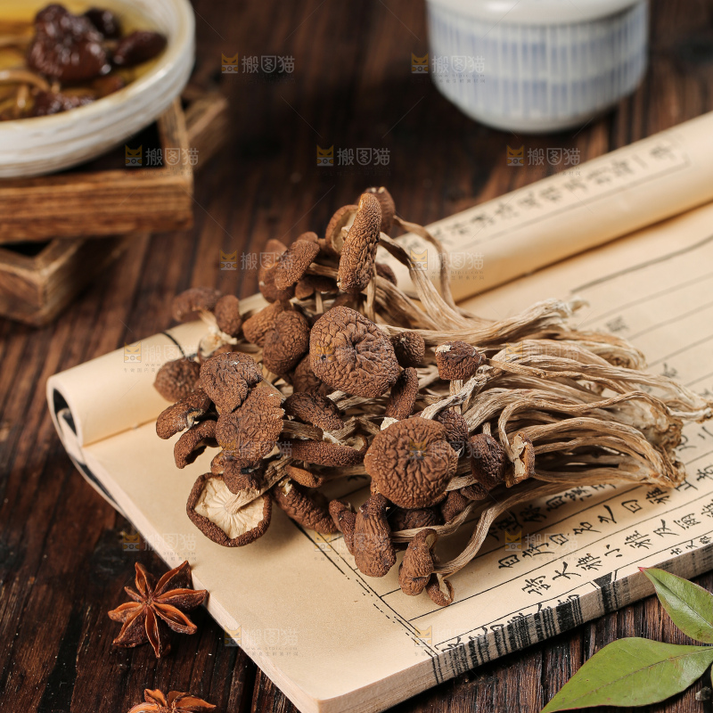 茶树菇