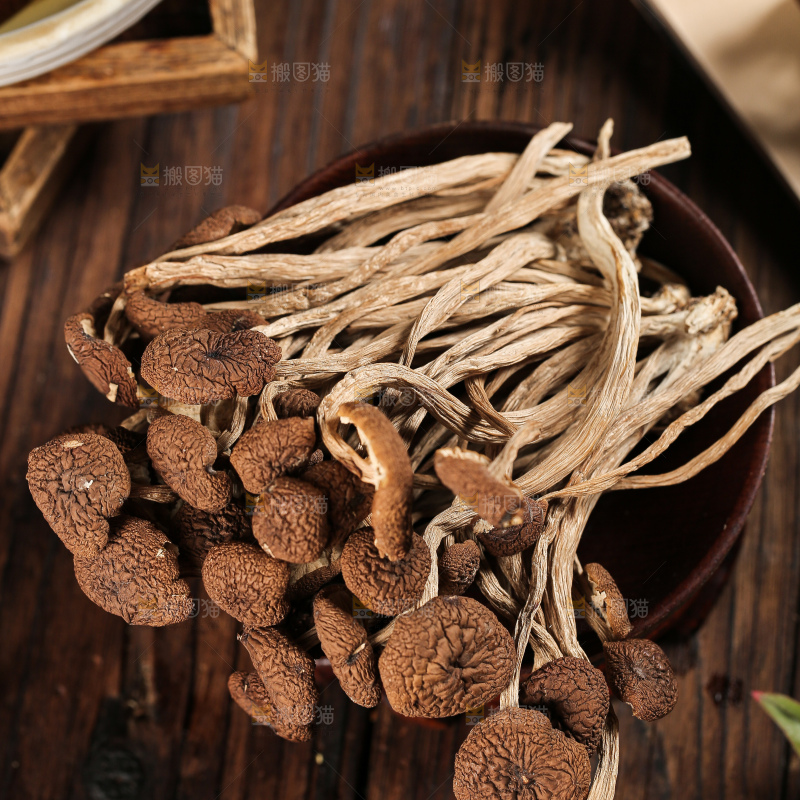 茶树菇