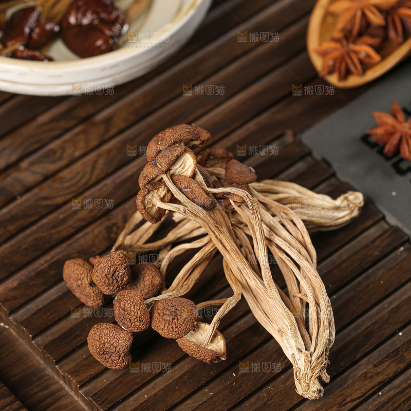 茶树菇