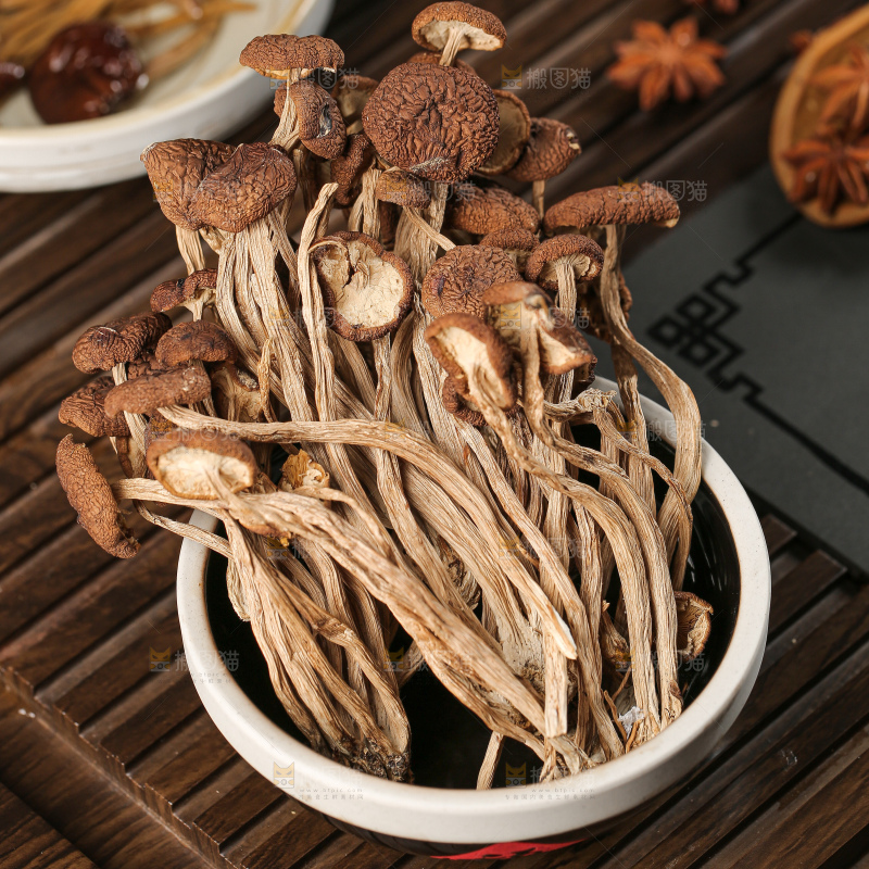 茶树菇