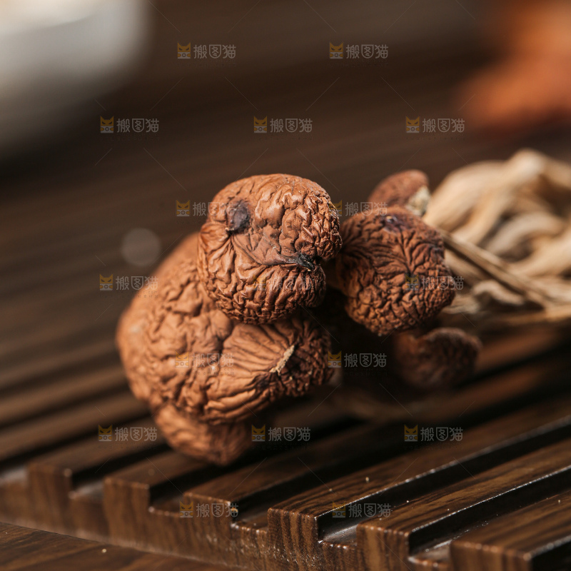 茶树菇