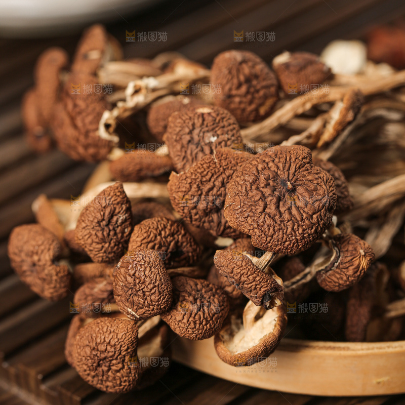 茶树菇
