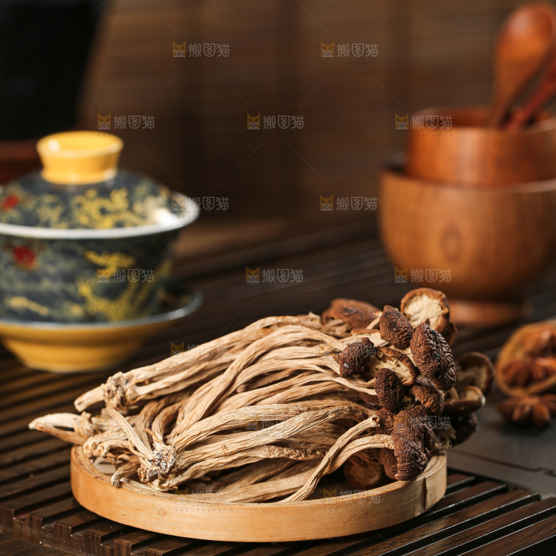茶树菇