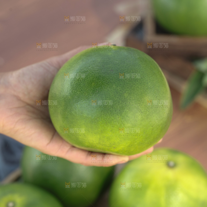 翡翠葡萄柚