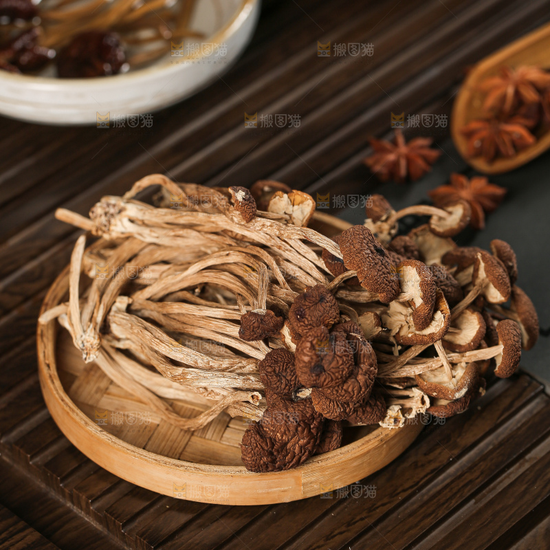 茶树菇