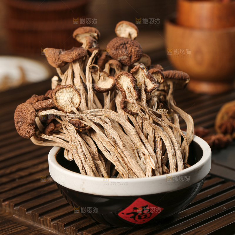 茶树菇