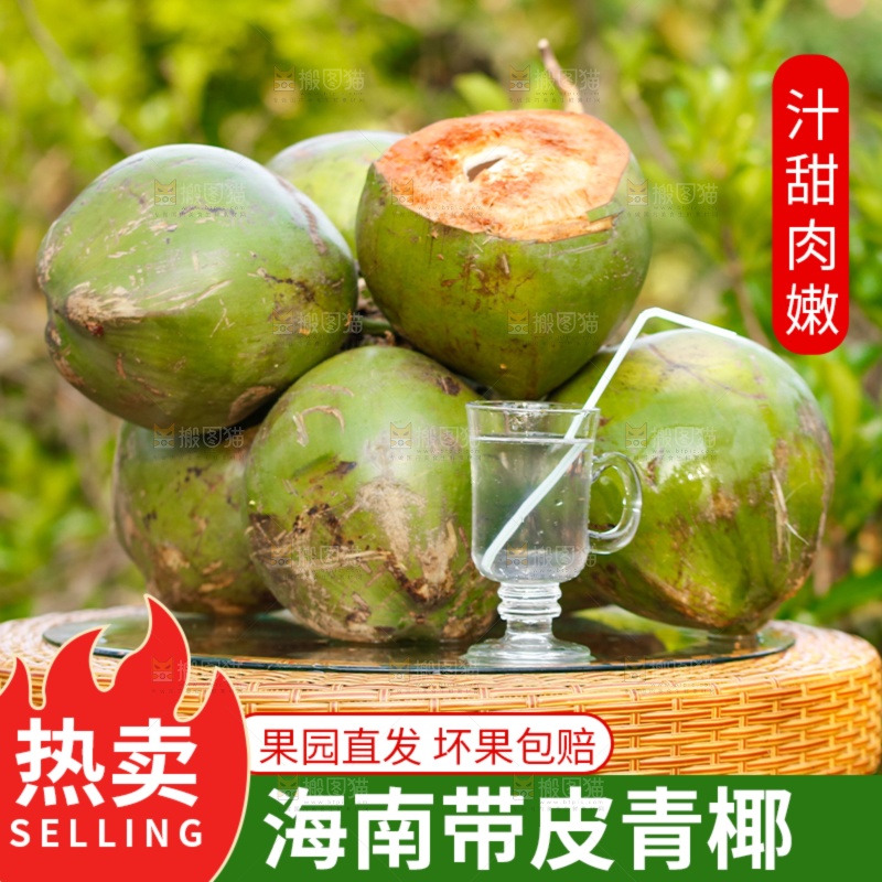 椰青主图