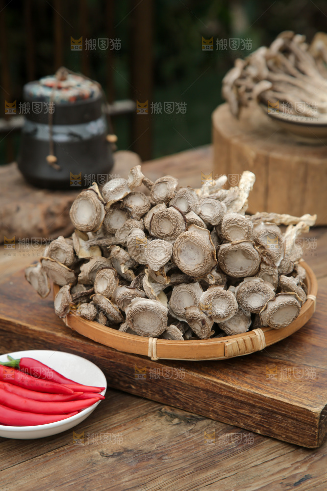 鹿茸菇