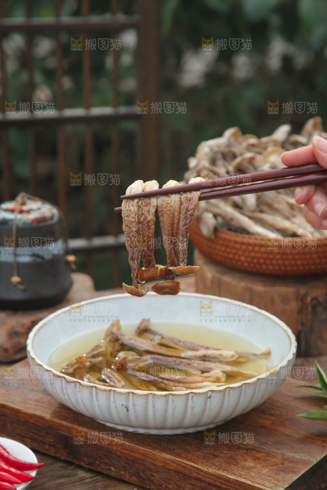 鹿茸菇
