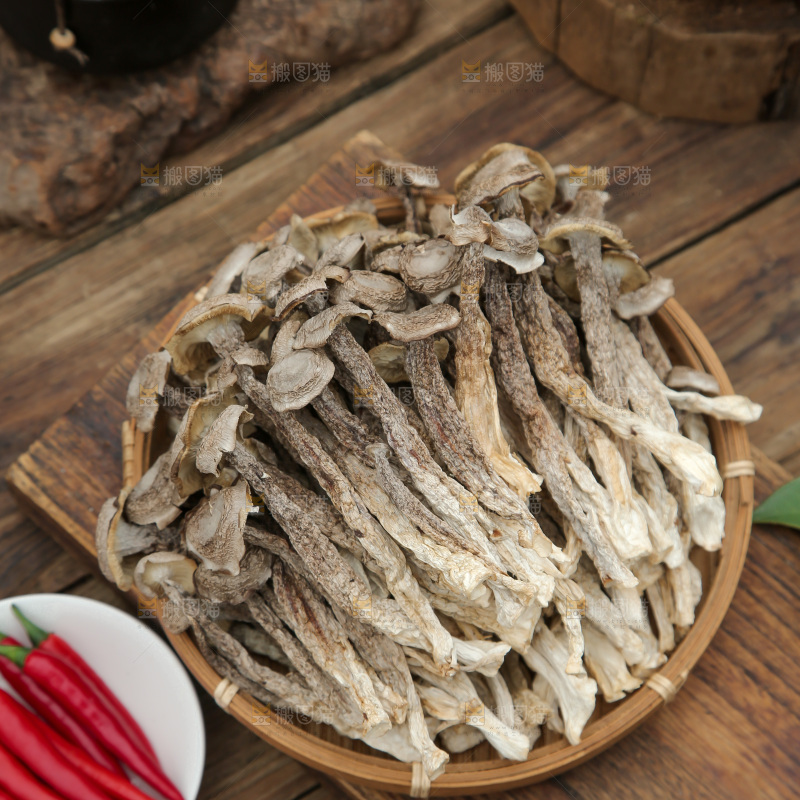 鹿茸菇